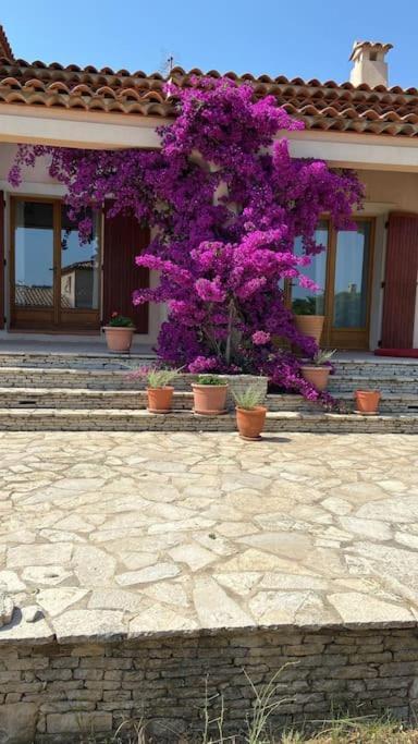 Villa Avec Jardin Au Calme A 7 Min De Cassis روكفور-لا-بيدول المظهر الخارجي الصورة